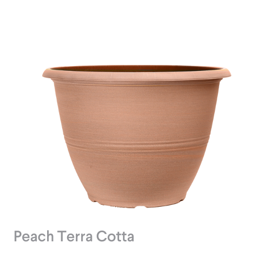 image of Philadelphia Peach Terra Cotta Pot